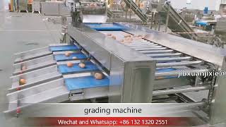 Celebrity potato orange dragon fruit size grading machine fruit and vegetable grading production line Net Worth