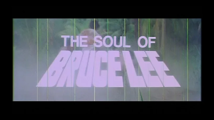 The Soul of Bruce Lee (1977) Trailer -- Sonny Chiba