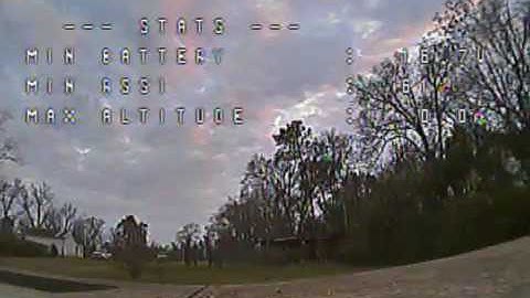 Betaflight 3.1.5 D-Shot 600 on Xracer Quadrant 25amp escs. BIRD CHASE!!!!