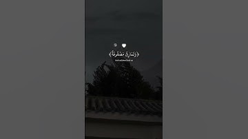 تلاوة هادئة لسورة الغاشية