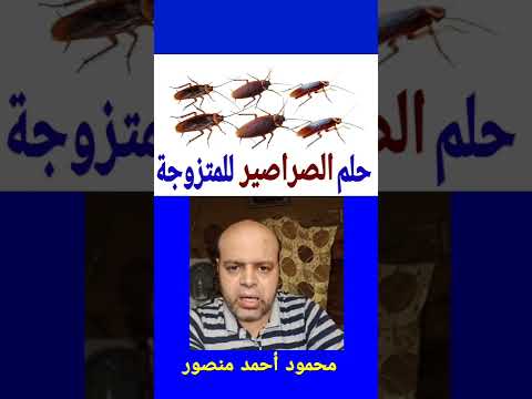 تفسير حلم الصراصير للمتزوجة في المنام محمود منصور تفسير الاحلام