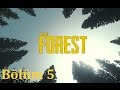 The Forest │Multiplayer│Bölüm 5