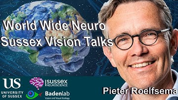 World Wide Neuro | Sussex Vision Series - 25/10/2021 - Prof. Pieter Roelfsema