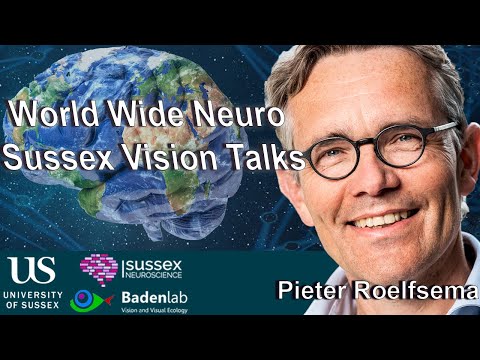 Interactions between visual cortical neurons that give rise to conscious perception recording thumbnail