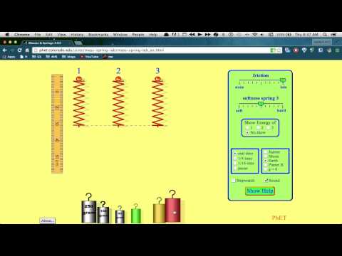 Hooke's Law Simulation Instructions
