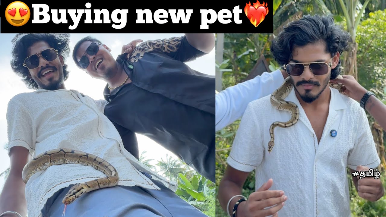 😍Buying new pet❤️‍🔥|😱very scary snake |😰mom got scared by snake | TTF |