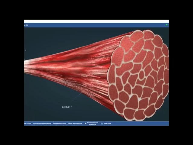 Интернетте винта жоғары тұрған кезде порно
