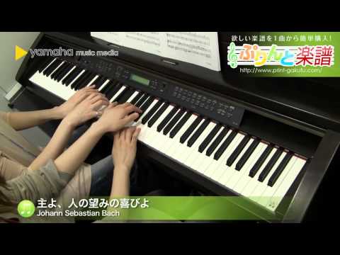 主よ、人の望みの喜びよ Johann Sebastian Bach