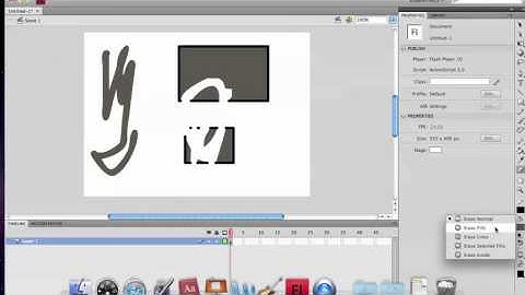 Adobe Flash CS4 Eraser Tool