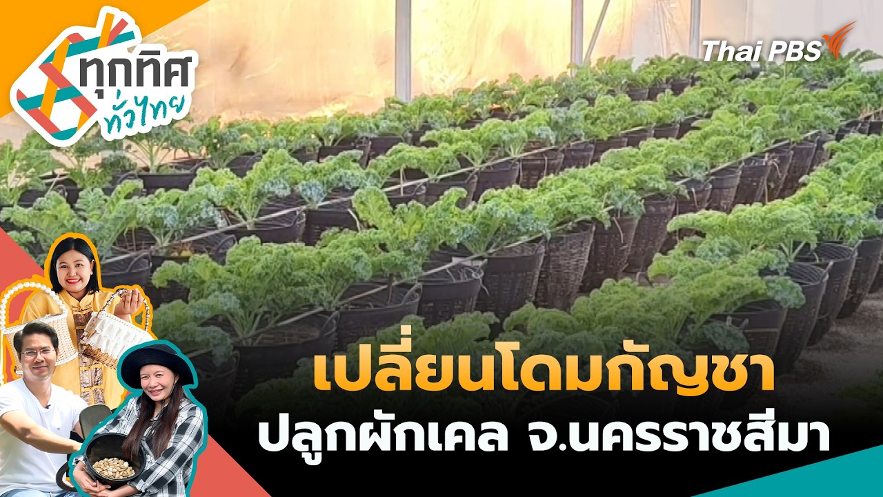 ทุกทิศทั่วไทย | 11 ก.พ. 69