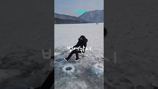 춘천호 빙어낚시 🎣 🎣 #빙어낚시 #얼음낚시