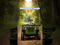 #DreamScreenAI#jungleadventure #monkey