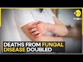 Fungal disease deaths double the old estimate: Lancet study | Latest English News | WION