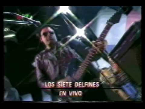 Dale salida - Los Siete Delfines