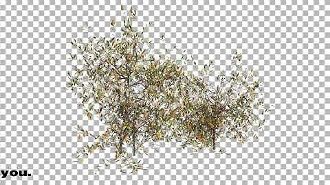 Bush Type 5 | Motion Graphics - Envato elements