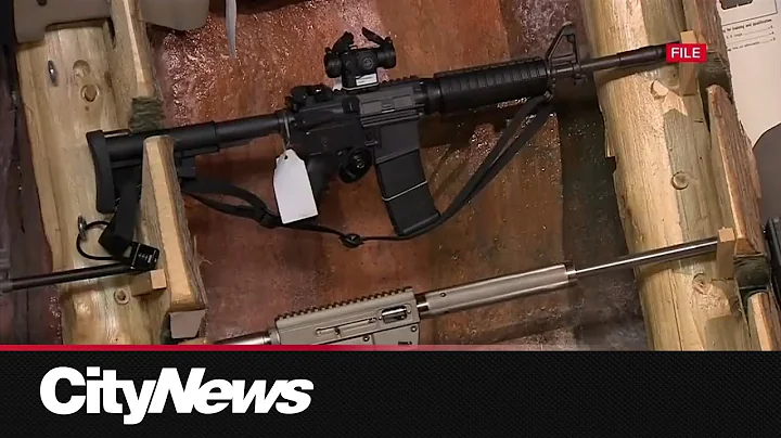 Assault weapons buyback moves ahead