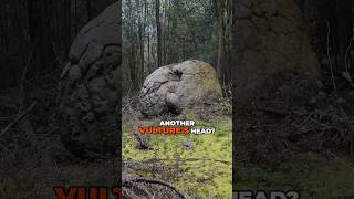 Ancient Beasts Unearthed