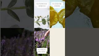 Jaki Olejek Do Sauny Wybrać?