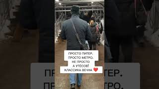 песнь в переходе