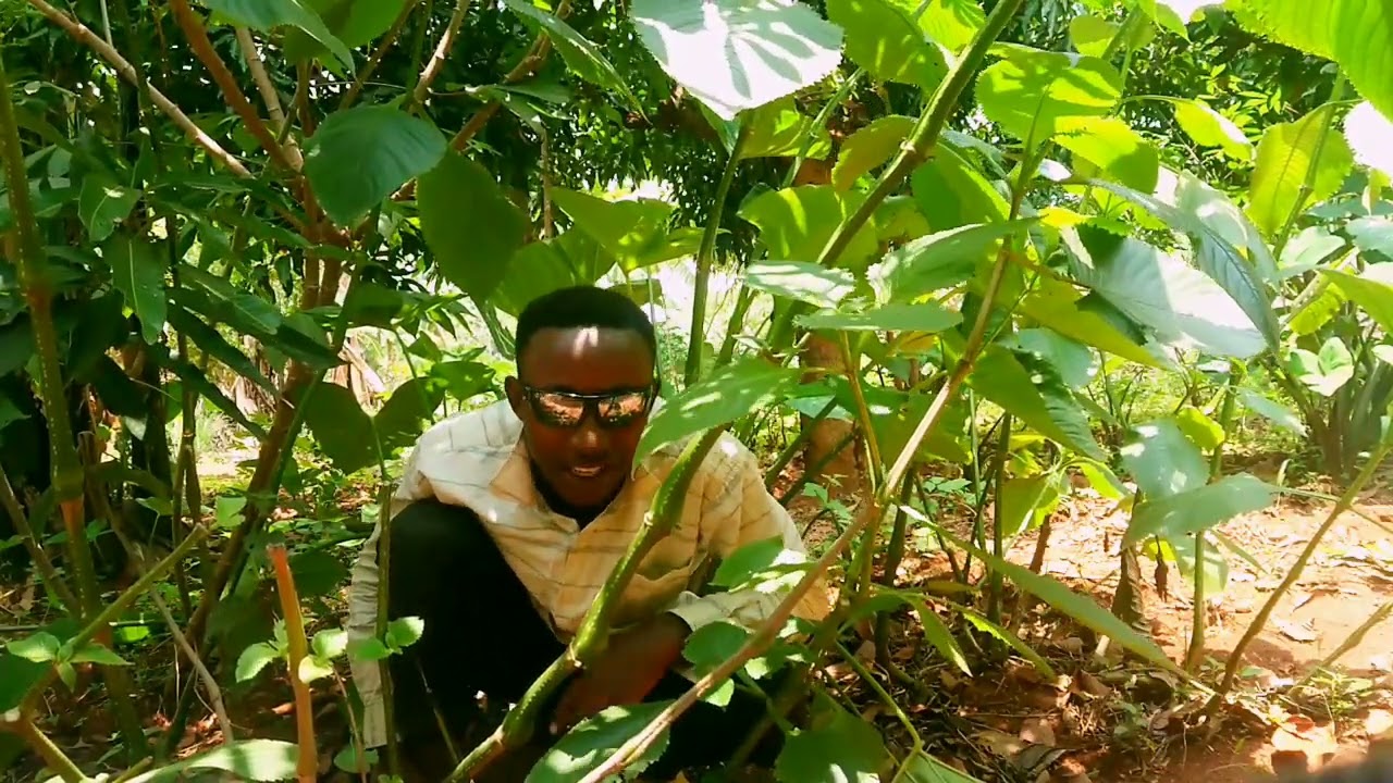 IWACU MUCYARO PART1  KERA HAVAYEHO VODEO OFFICIAL 