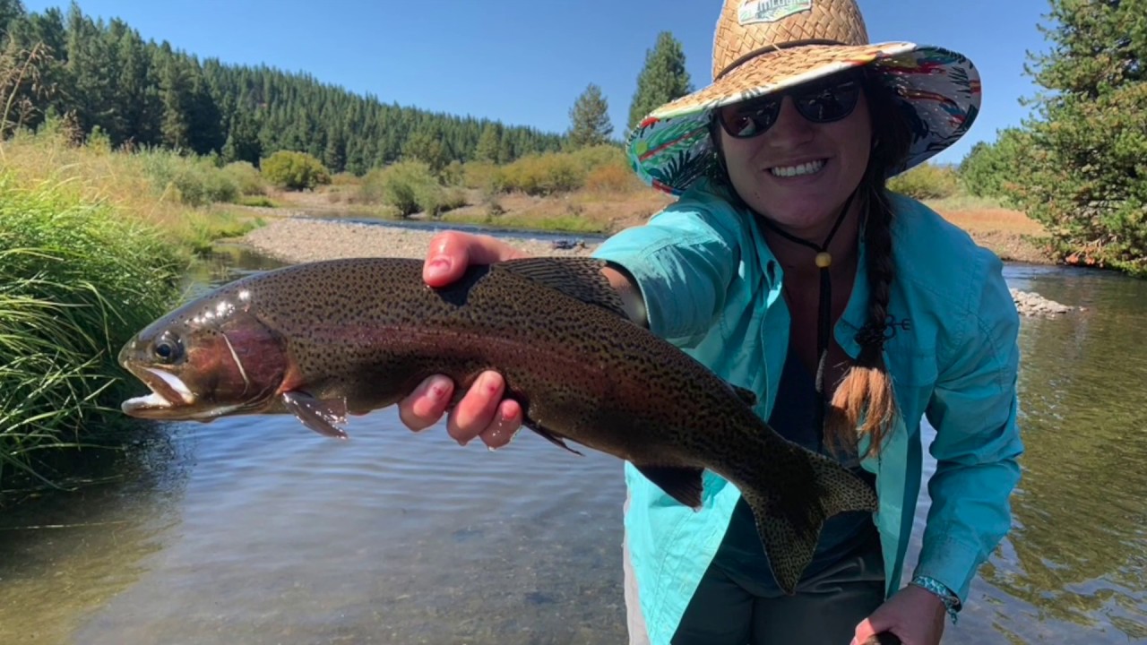 Fly Fishing Truckee California YouTube