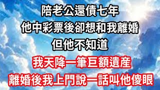 陪老公還債七年他中彩票後卻想和我離婚但他不知道我天降一筆巨額遺産離婚後我上門說一話叫他傻眼#心靈回收站