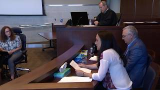 Mother of Davis stabbing victim delivers impact statement