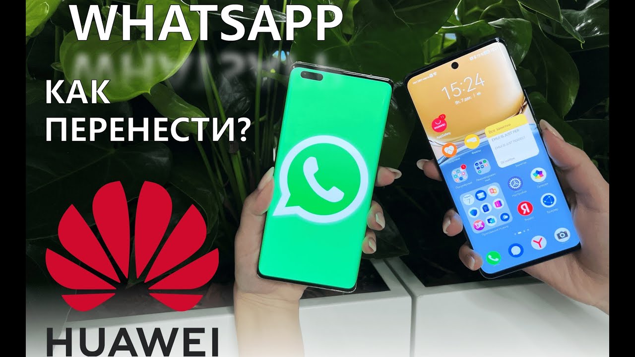 Как перенести чаты и историю WhatsApp с Android на Huawei - HUAWEI Community
