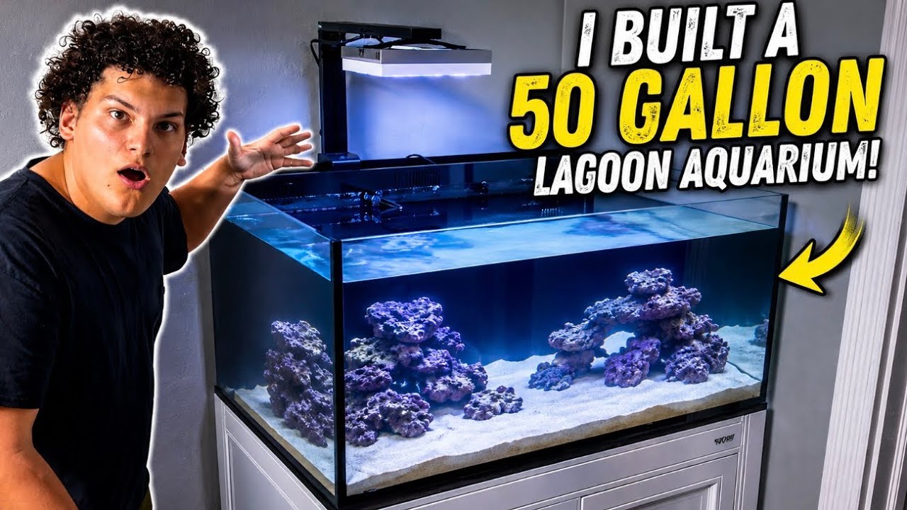 I Built a 50 Gallon Lagoon Aquarium!