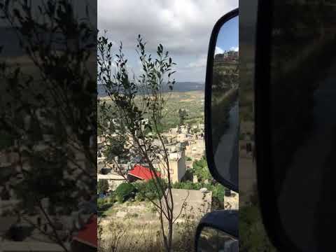 معين شريف مالي احباب فلسطين