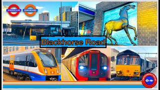 Trains and Buses at Blackhorse Road Station [BHO]  LU/LO (16/03/2024)