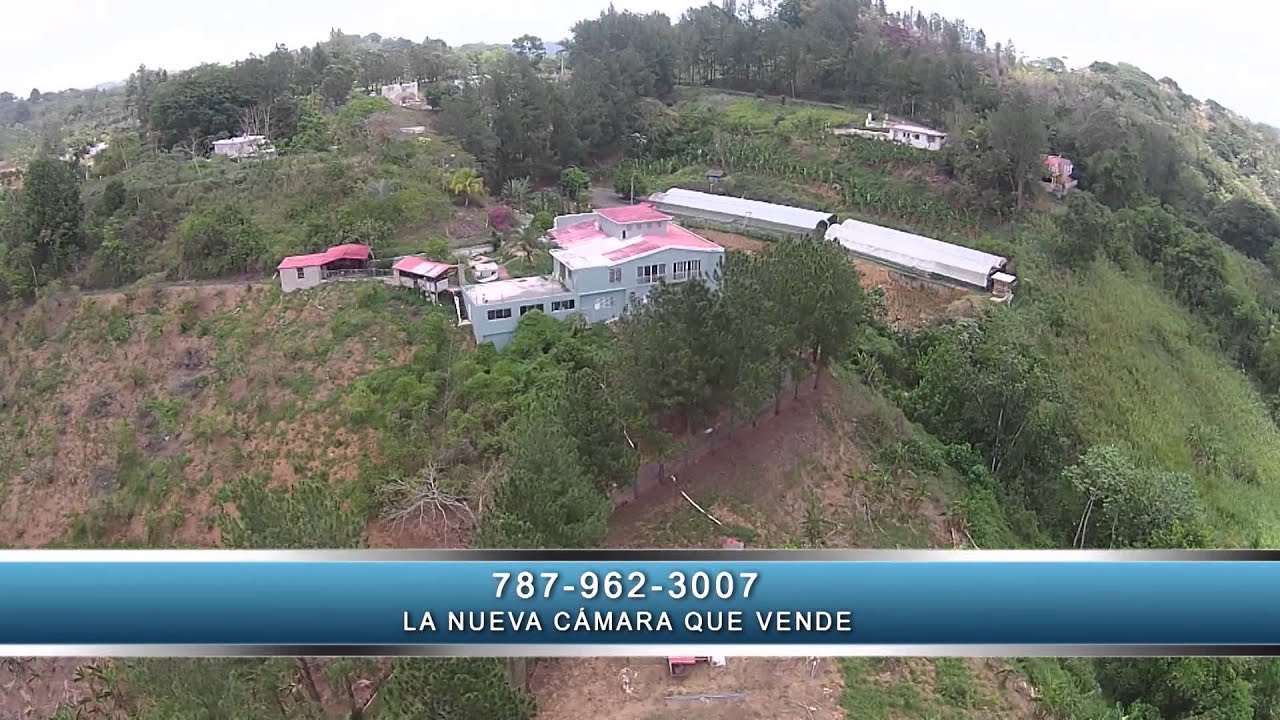 Comercial Finca en Corozal, Puerto Rico YouTube