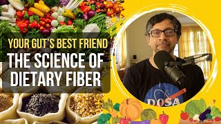 Your Gut's Best Friend: The Science of Dietary Fiber