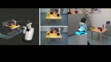 [HSR-ROBOT] Model-based grasping experiment