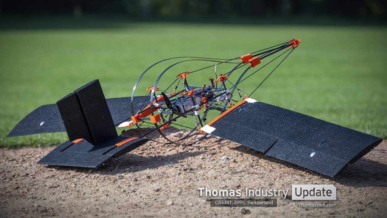 Drone Mimics Woodpecker Skull to Survive Crashes