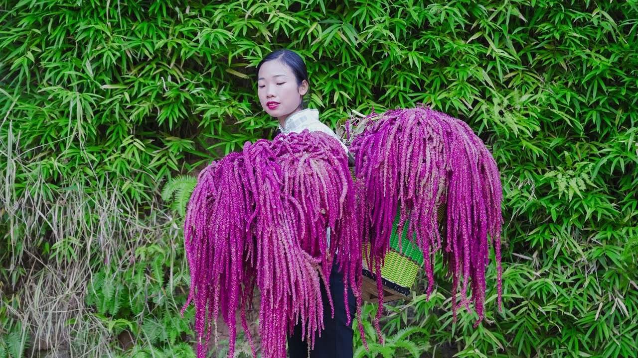 很多人都没有吃过的食材，红彤彤的花像小辫子，不仅漂亮还可以吃｜ 野小妹wild girl 美食