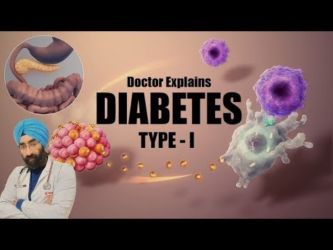 डायबिटीज/मधुमेह-टाइप-1---doctor-explains-everything-about-diabetes-type-1-|-dr.education-(hin)