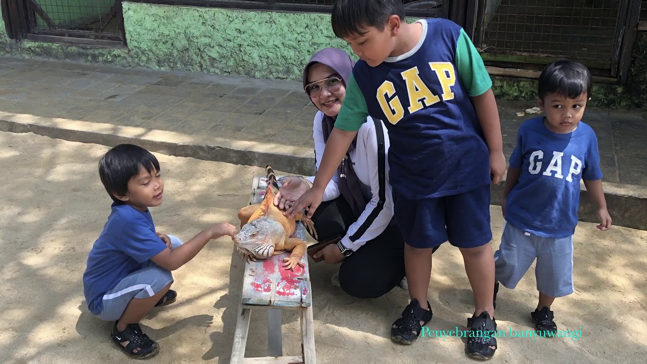 Liburan Ke Bali Naik Mobil SEndiri dec 2020 - YouTube