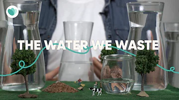 How to save water by fighting food waste