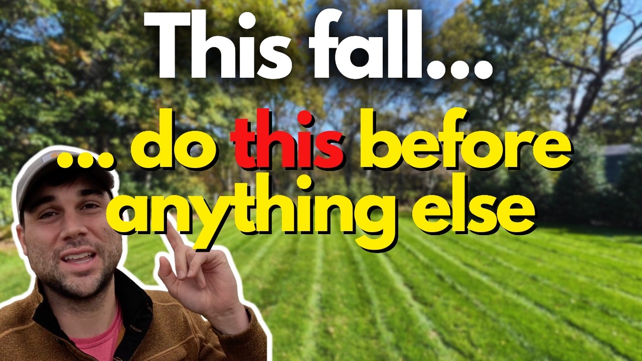 Fall Lawn Care Routine | Overseeding, Fertilizer & Watering Tips - YouTube