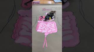 Human Body System Path Course T03G215
