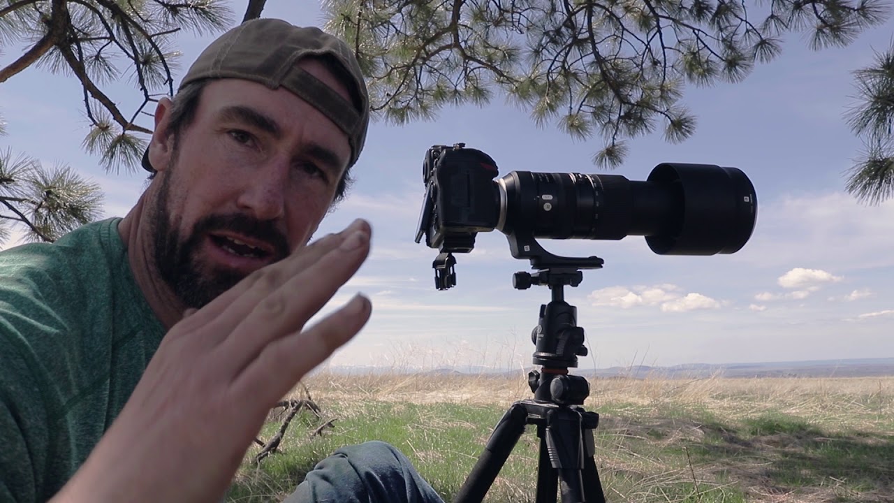Фотосъемка дикой природы (лоси) в Национальной зоне отдыха Хеллс-Каньон.