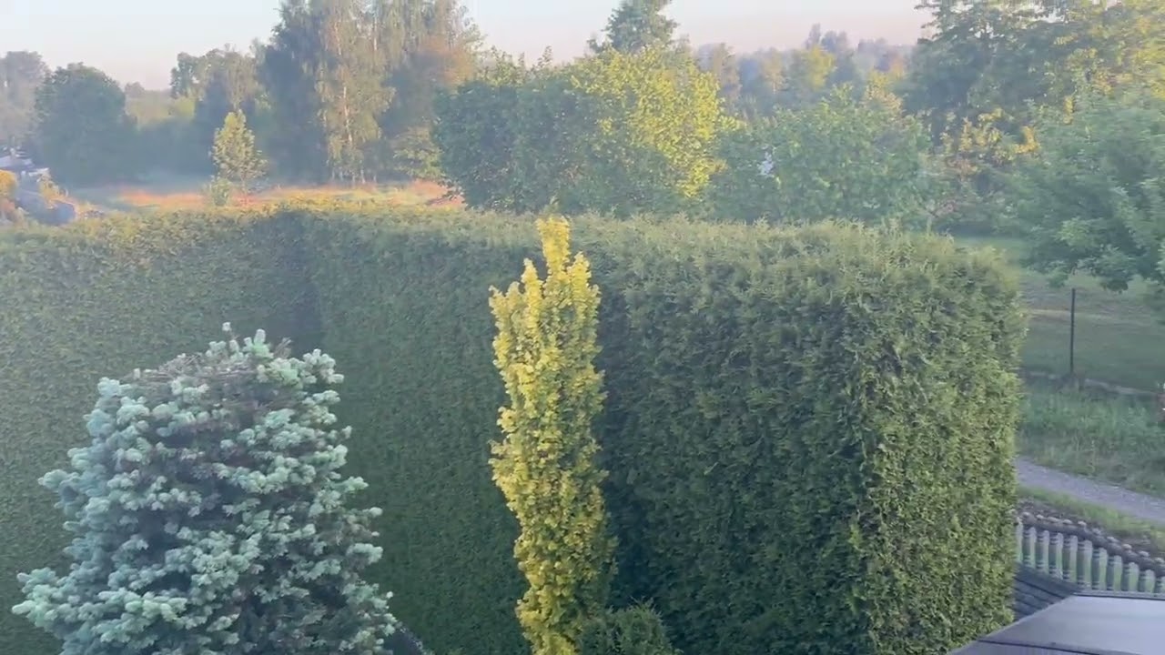From a window in Czestochowa/Desde una Ventana en Czestochowa/从琴斯托霍瓦的一扇窗户/Z okna w Częstochowie