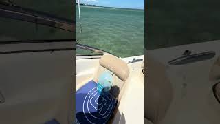 IMG 1042