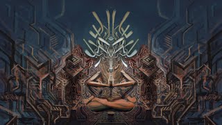 16 Gram Mushroom Trip Report Entering The Spirit World