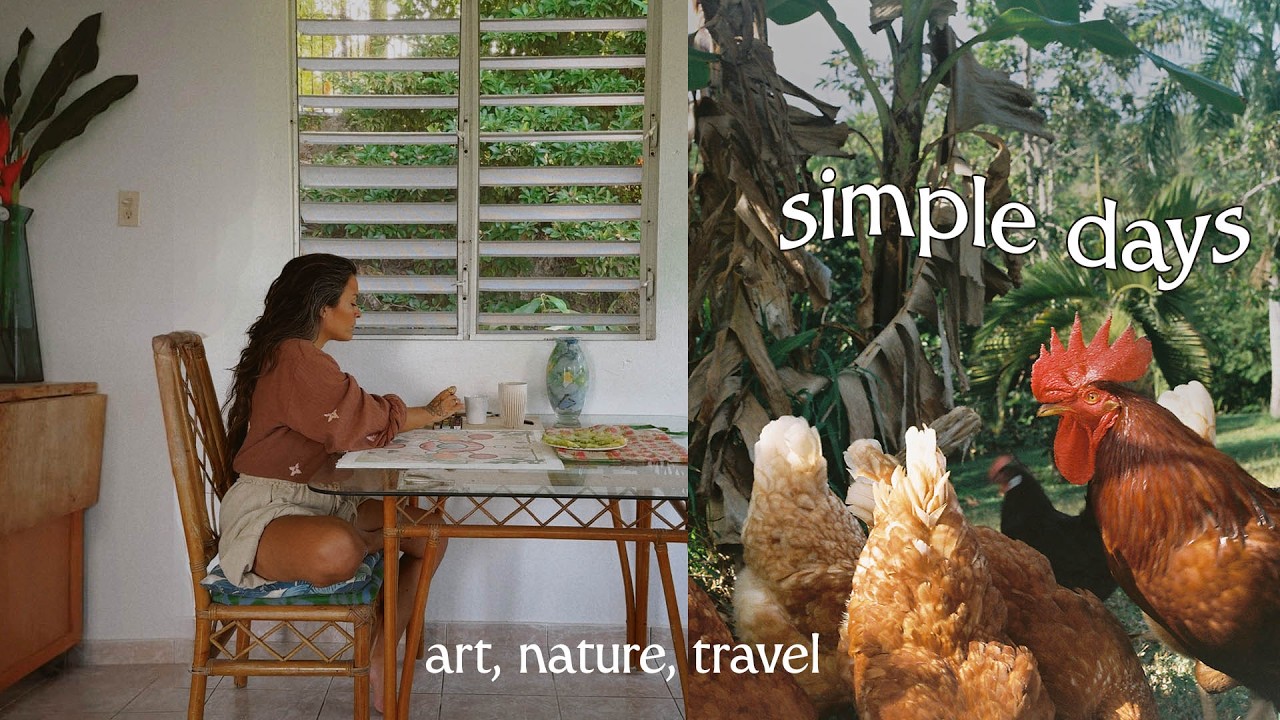 Полезные дни | Спокойные и творческие дни в Пуэрто-Рико