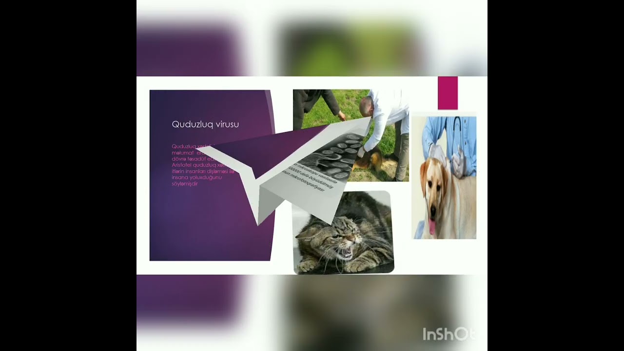Biologiya.Virus xəstəlikləri.