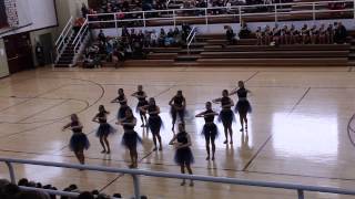 2014-01-25 IHSA Sectionals - M-Squad Lyrical