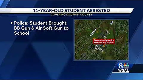 11-year-old charged, accused of bringing BB gun to school