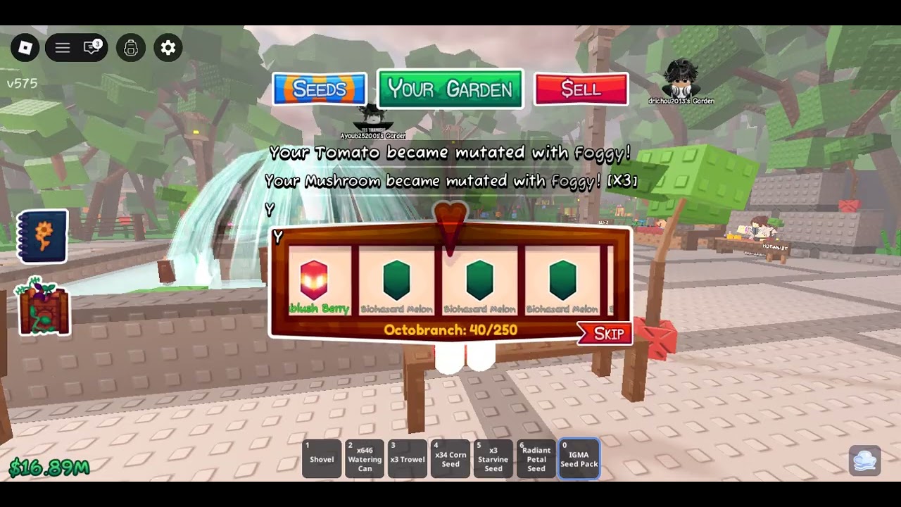 J'ouvre 22 IGMA seed pack. Aurais-je de la chance? Garden horizons roblox